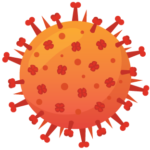 Influenza virus