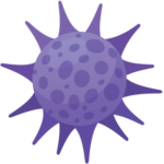 Varicella zoster virus (chickenpox)